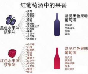 红葡萄酒和白葡萄酒的区别：风味、保健与热量全解析