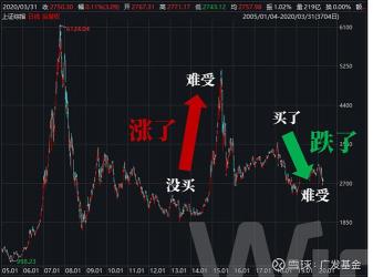 基金追涨杀跌：理解其含义及正确做法