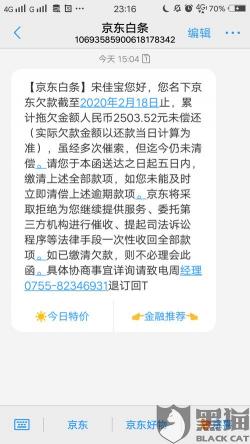 到期还款日：债务人应偿还应付款项的最后日期