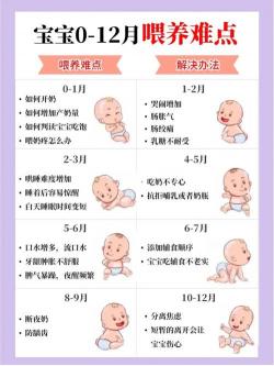 5个月宝宝全方位成长指南：喂养、运动到认知能力的全面解析