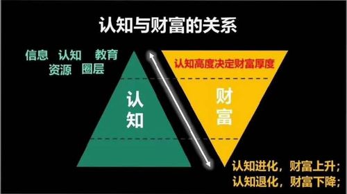 赢越人生条款详解：全面保障与财富增长的完美结合