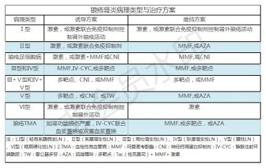 系统性红斑狼疮肾炎：疾病特点、治疗与影响