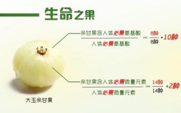 雪莲果的功效与作用：食用方法、禁忌及注意事项