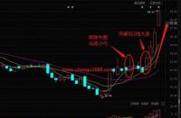 5日均线：股票新手的技术指标指南