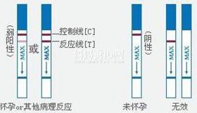 早孕检查：如何准确判断怀孕的方法与步骤