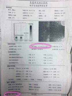 精液的作用与潜在风险：了解精液对男性健康的影响