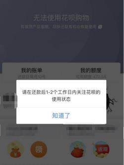 花呗冻结后如何申请解封？了解原因、积极解决是关键