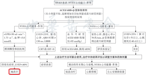 心跳过快：原因、症状与治疗方案