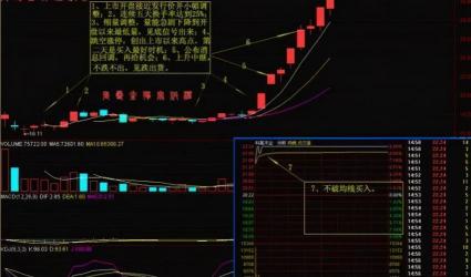 掌握选股艺术：实用策略与技巧助你智胜股票市场