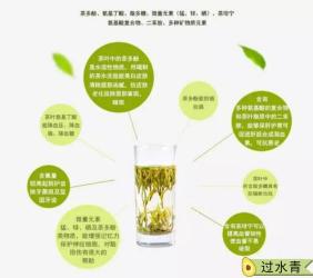 绿茶的作用：从心血管保健到抵抗衰老的全方位益处