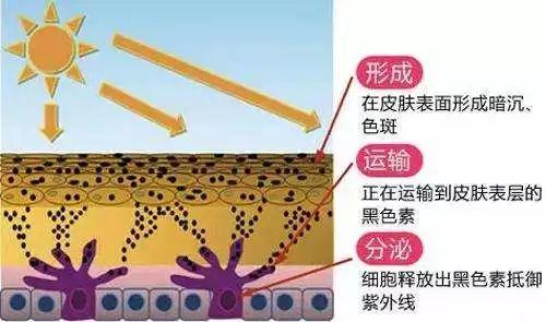 大美白针副作用揭秘：感染、肝肾负担加重及黑色素沉淀风险