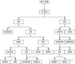 头昏脑胀：从生理到病理的全面解析与应对策略