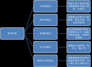 拉肚子原因大揭秘：从细菌到精神紧张，全面了解拉肚子成因