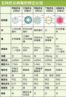 肝炎的症状：从全身到消化系统，全方位解析肝炎的病状