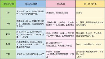 早熟现象揭秘：儿童性发育过早的症状与警示