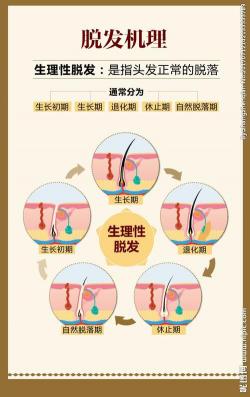 揭秘掉头发是何原因：科学解析脱发成因及预防方法