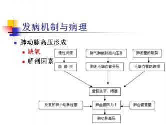 窦性心动过速的原因：生理、病理因素及治疗方法