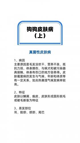 上海专治皮肤病医院：专业呵护，守护您的皮肤健康