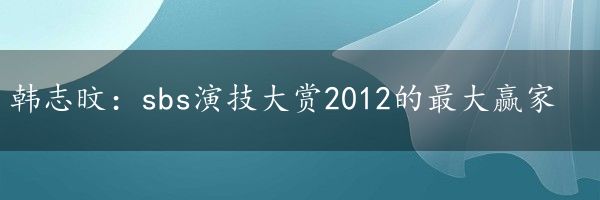 韩志旼：sbs演技大赏2012的最大赢家