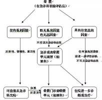 突然晕倒是怎么回事？原因解析与预防措施