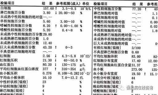 白血病的血常规表现：血红蛋白与白细胞异常