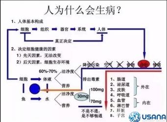 羊水少：原因、风险与应对方法