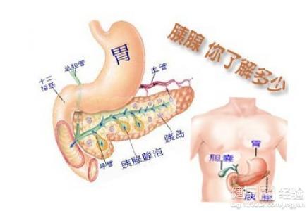 胰腺病早期症状详解，让你早发现早治疗