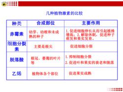 植物生长素：促进生长与发育的重要激素