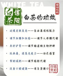 银杏的作用：促进血液循环，提升记忆，抗氧化，多重保健功效