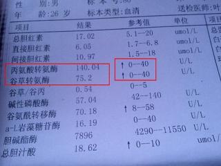 谷丙转氨酶偏高的原因解析：从肌肉损伤到急性心肌梗死