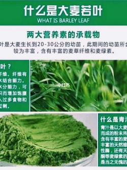 大麦若叶青汁的功效与作用：改善便秘、平衡酸碱度、保护视力、保持精力充沛