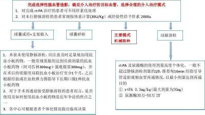 脑血栓治疗：从血管扩张剂到康复疗法的全面解析