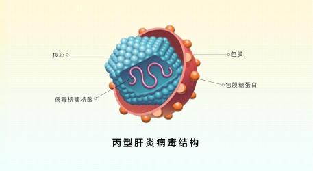 黄疸型肝炎是否具有传染性？解答你的疑虑