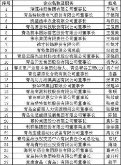 王爱国领导下的青岛国恩科技：改性塑料领域的佼佼者