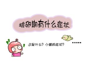 排卵期女性的生理变化与特点：从精力旺盛到抵抗力下降