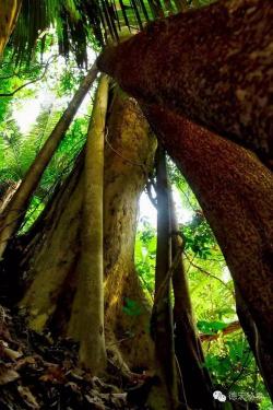 梅列瑞云山：火山岩地貌与亚热带森林的绝美融合