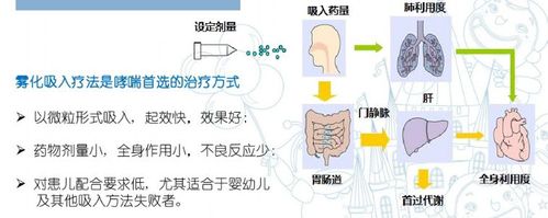 雾化吸入治疗：高效缓解呼吸系统疾病的方式