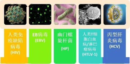 淋巴癌的症状：全身性疾病带来复杂临床表现