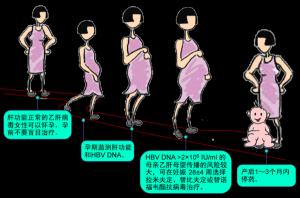 怀孕期间发现乙肝小三阳：处理方法及母婴阻断指南