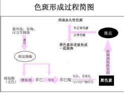 色斑成因大揭秘：了解雀斑、黄褐斑和黑斑的八大因素