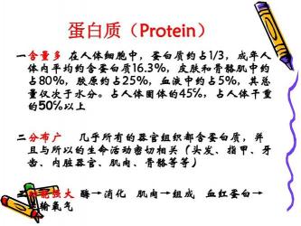 揭秘白蛋白：维持生命的多重作用