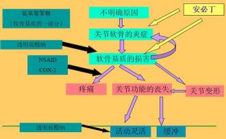 膝关节炎治疗方法大揭秘：药物、手术、运动、物理疗法全解析