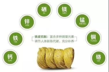 铁皮石斛的食用方法：新鲜与干燥，营养全知道