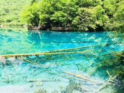 五月旅游好去处推荐：九寨沟、神农架、喀拉峻草原等绝美风光等你来赏