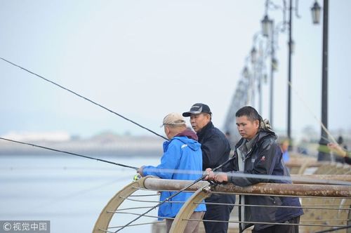 大连钓鱼：海岛与水库的垂钓天堂